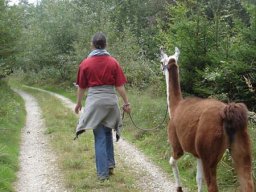 Lamatouren